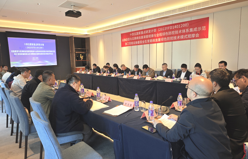 苍南观摩会1.jpg
