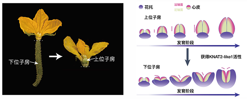 公众号图2.jpg