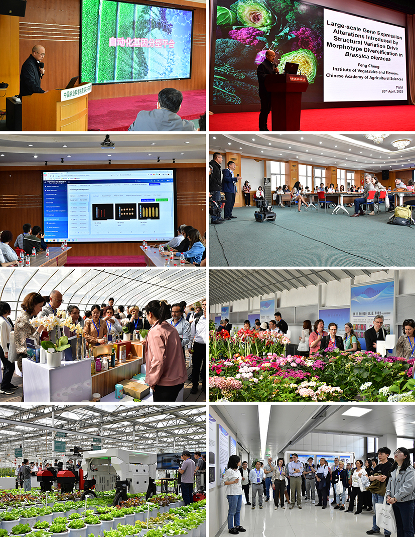 图6.jpg